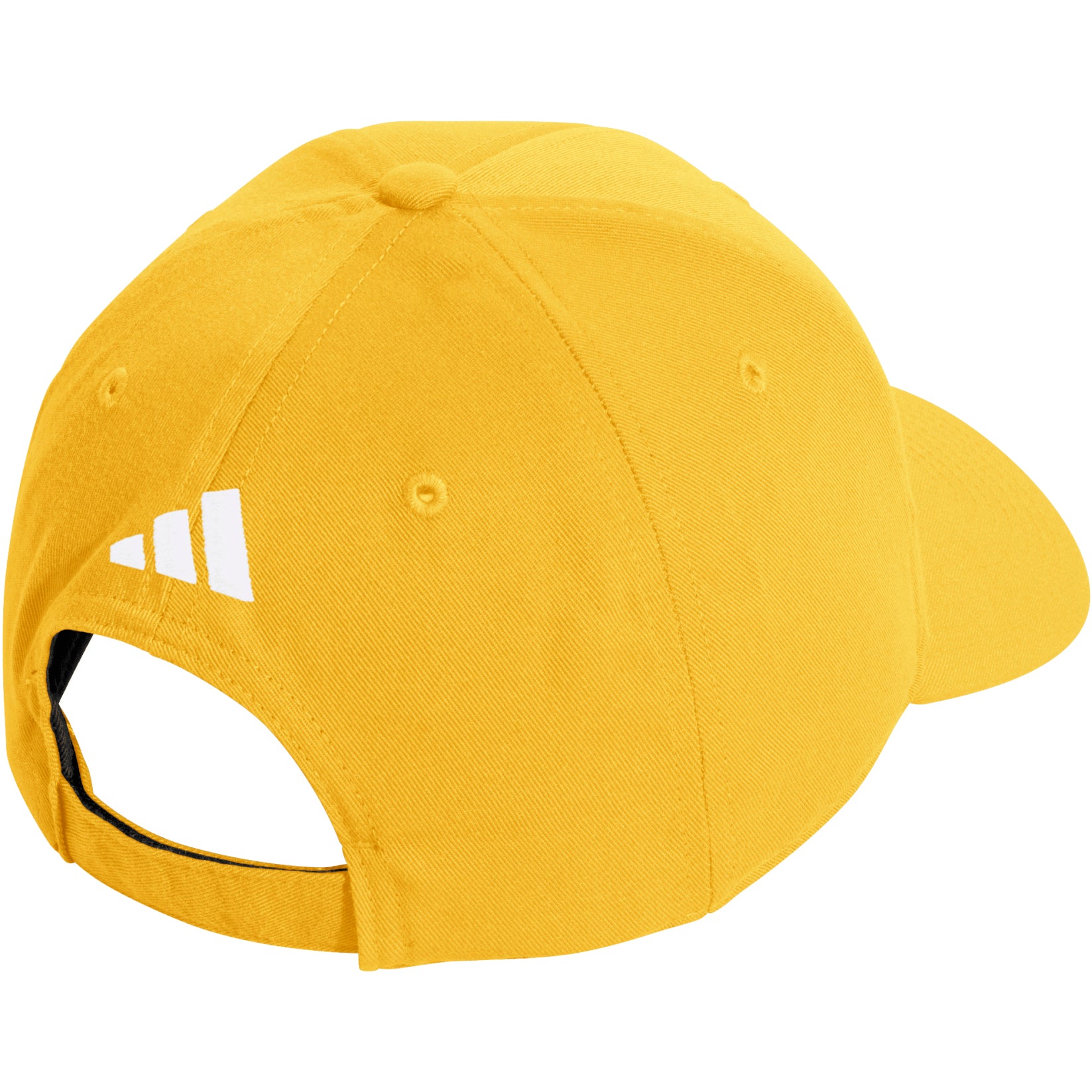 Structured Adjustable Cap